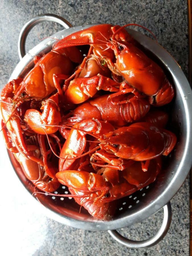 Kujanpaeae | Paajoen Vuokramoekit Hotel Himos Eksteriør billede